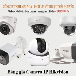 Camera IP Hikvision